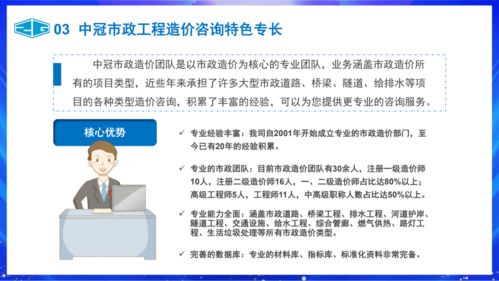 中冠咨询市政工程造价与信息咨询服务概述