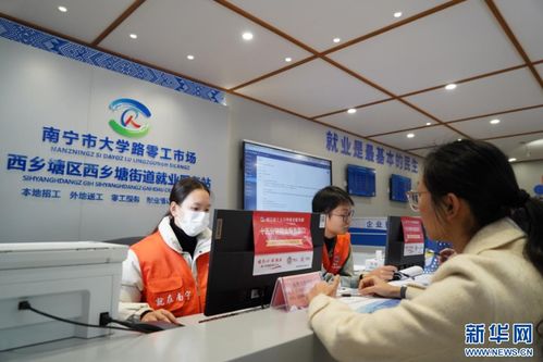 精准服务 多维赋能——西乡塘区构建青年就业创业信息咨询新生态